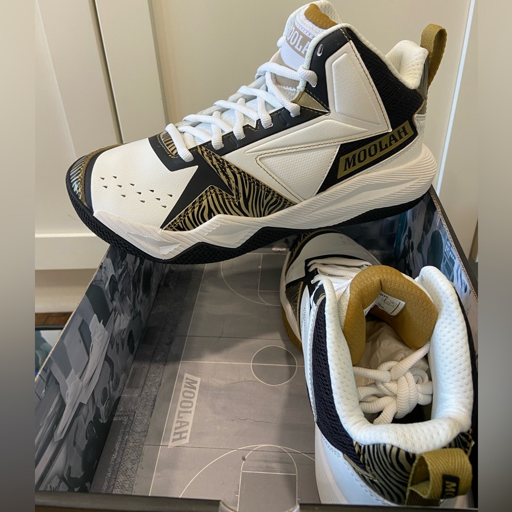 ✨New Moolah Basketball Shoes
